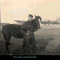 025 la ferme martin cavalerie locale