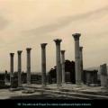 136 timgad les ruines romaines