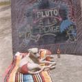 160 pluto a la plage 1 jpg 1