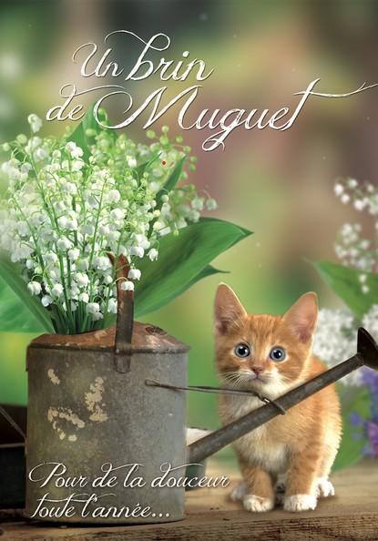 Joyeux 1er mai 2025